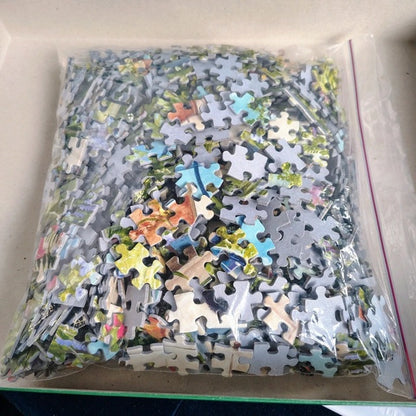 Jigsaw puzzle pieces in a clear plastic bag on a cardboard base