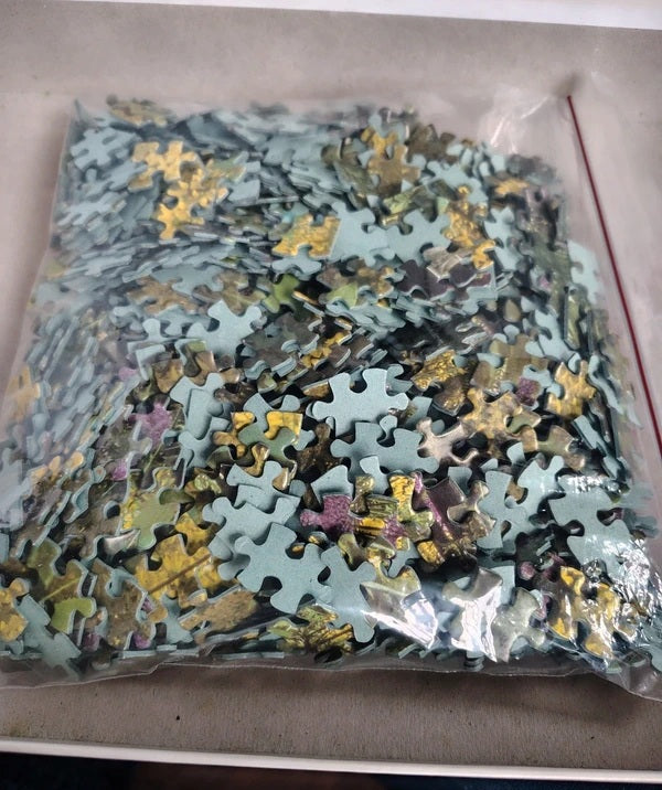 A clear plastic bag filled with many small jigsaw puzzle pieces, photographed from above inside a light-colored box or tray.