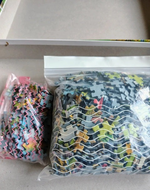Two packages of dinosaur-themed puzzle pieces on a light gray surface.