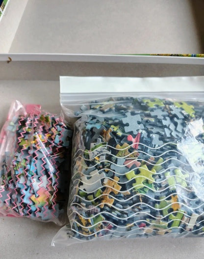 Two packages of dinosaur-themed puzzle pieces on a light gray surface.
