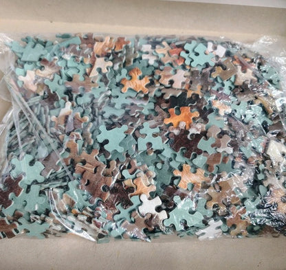 Jigsaw puzzle pieces in a clear plastic bag on a beige surface