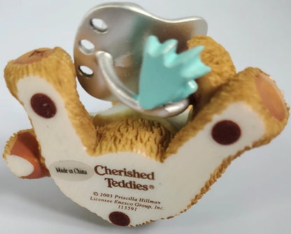 Cherished Teddies teddy with a dummy on a white background