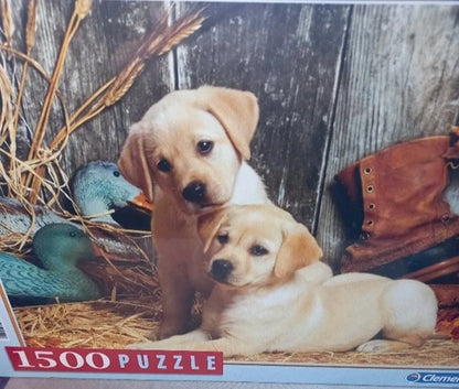 Puzzle box with two puppies and hunting equipment on a wooden background