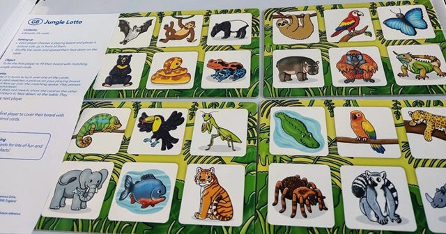 Jungle-themed educational game cards with animal illustrations on a green background