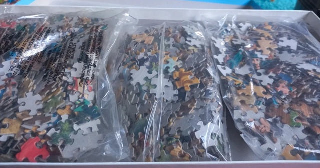 Jigsaw puzzle pieces in clear plastic bags on a white surface