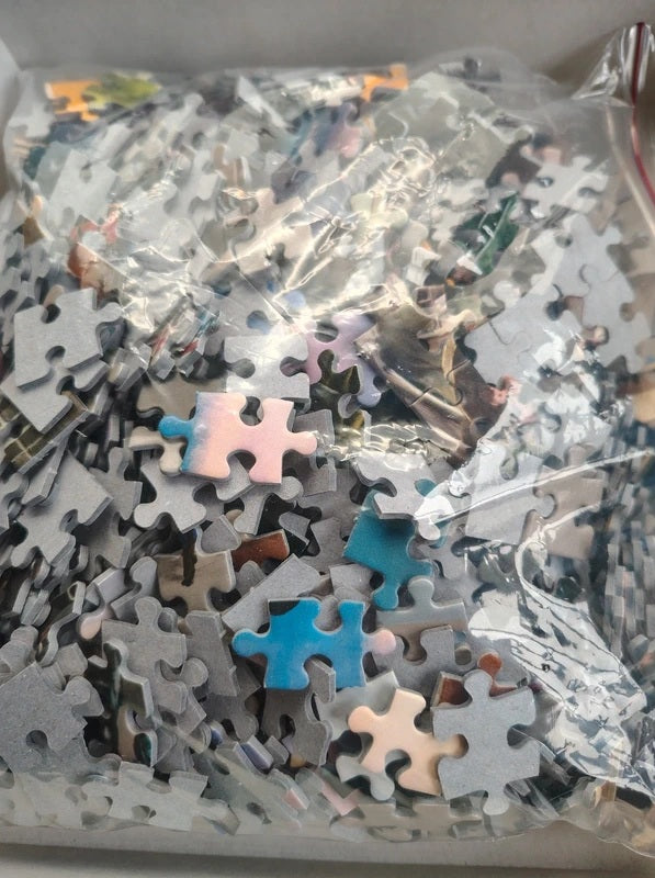 A clear plastic bag filled with many jigsaw puzzle pieces, mostly light gray and white with a few blue, pink, and beige pieces visible.