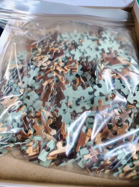 Puzzle pieces in a clear plastic bag with a cardboard box in the background