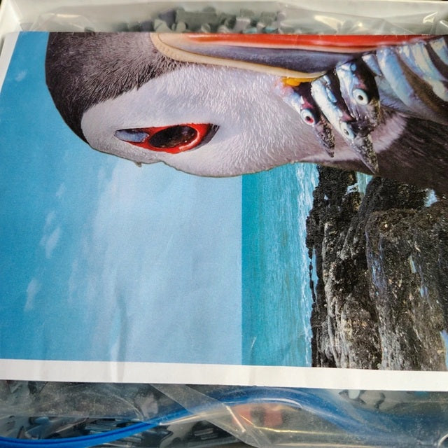 poster of fish